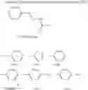Fig. 27 - COMPOUNDS AND METHODS FOR MODULATING THE SILENCING OF A POLYNUCLEOTIDE OF INTEREST