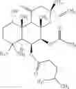 Fig. 34 - COMPOUNDS AND METHODS FOR MODULATING THE SILENCING OF A POLYNUCLEOTIDE OF INTEREST