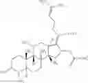 Fig. 38 - COMPOUNDS AND METHODS FOR MODULATING THE SILENCING OF A POLYNUCLEOTIDE OF INTEREST