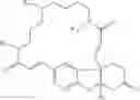 Fig. 80 - COMPOUNDS AND METHODS FOR MODULATING THE SILENCING OF A POLYNUCLEOTIDE OF INTEREST