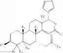 Fig. 88 - COMPOUNDS AND METHODS FOR MODULATING THE SILENCING OF A POLYNUCLEOTIDE OF INTEREST