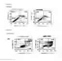 Fig. 06 - Micro-RNA associated with rheumatoid arthritis