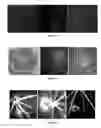 Fig. 02 - Application of highly conserved domain sequences from viral genome as template to design therapeutic slirnas