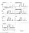 Fig. 13 - Novel Glutamic Acid Decarboxylase (GAD) Chimera And Methods Of Use