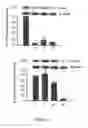 Fig. 02 - Compounds from soft coral, method of preparation and pharmaceutical uses thereof