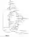Fig. 04 - Therapeutic compositions