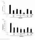 Fig. 06 - Anti-inflammatory composition containing macrolactin A and a derivative thereof as active ingredients