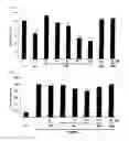 Fig. 08 - Anti-inflammatory composition containing macrolactin A and a derivative thereof as active ingredients