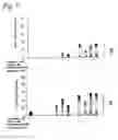 Fig. 06 - Synergistic combinations of cartonoids and polyphenols