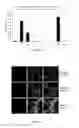 Fig. 02 - COMPOSITIONS OF VERY LONG CHAIN POLYUNSATURATED FATTY ACIDS AND METHODS OF USE