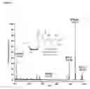 Fig. 04 - METHODS OF QUANTIFYING N2-(1-CARBOXYETHYL)-2'-DEOXY-GUANOSINE (CEdG) AND SYNTHESIS OF OLIGONUCLEOTIDES CONTAINING CEdG