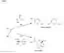 Fig. 08 - METHODS OF QUANTIFYING N2-(1-CARBOXYETHYL)-2'-DEOXY-GUANOSINE (CEdG) AND SYNTHESIS OF OLIGONUCLEOTIDES CONTAINING CEdG
