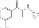 Fig. 14 - Monoamine reuptake inhibitors