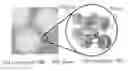 Fig. 01 - Cosmetic Composition