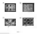 Fig. 06 - Microporous Thermoplastic Article