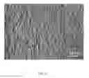 Fig. 13 - Microporous Thermoplastic Article
