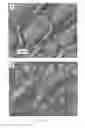 Fig. 14 - Microporous Thermoplastic Article