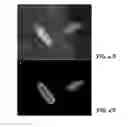 Fig. 05 - Isolation and characterization of novel green fluorescent proteins from copepods