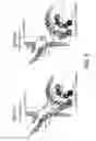 Fig. 06 - Antibody Constant Region Variant
