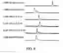 Fig. 09 - Antibody Constant Region Variant