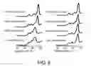 Fig. 10 - Antibody Constant Region Variant