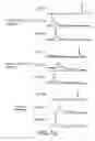 Fig. 11 - Antibody Constant Region Variant