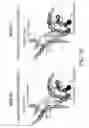Fig. 16 - Antibody Constant Region Variant