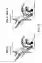 Fig. 17 - Antibody Constant Region Variant