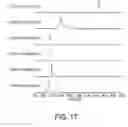 Fig. 18 - Antibody Constant Region Variant