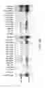 Fig. 12 - METHODS AND COMPOSITIONS FOR MODULATING TUMOR CELL ACTIVITY