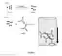 Fig. 03 - SELECTIVE ENRICHMENT OF ANTIBODIES