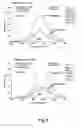 Fig. 06 - Methods and compositions of nucleic acid ligands for detection of foodborne and waterborne pathogens
