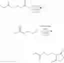 Fig. 29 - Sulfurizing reagents and their use for oligonucleotides synthesis