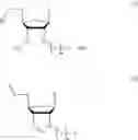 Fig. 02 - Nucleic acid chemical modifications