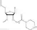 Fig. 104 - Nucleic acid chemical modifications