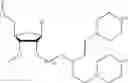 Fig. 108 - Nucleic acid chemical modifications