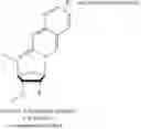 Fig. 123 - Nucleic acid chemical modifications