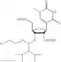 Fig. 131 - Nucleic acid chemical modifications