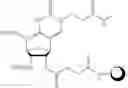 Fig. 135 - Nucleic acid chemical modifications