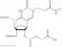 Fig. 136 - Nucleic acid chemical modifications