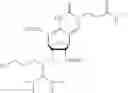 Fig. 137 - Nucleic acid chemical modifications