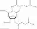 Fig. 139 - Nucleic acid chemical modifications