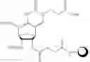 Fig. 140 - Nucleic acid chemical modifications