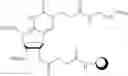 Fig. 141 - Nucleic acid chemical modifications