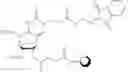 Fig. 146 - Nucleic acid chemical modifications
