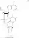 Fig. 161 - Nucleic acid chemical modifications