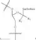 Fig. 162 - Nucleic acid chemical modifications