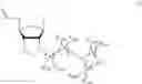 Fig. 17 - Nucleic acid chemical modifications