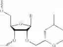Fig. 73 - Nucleic acid chemical modifications