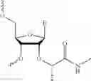 Fig. 83 - Nucleic acid chemical modifications
